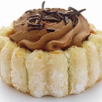 Charlottine chocolat